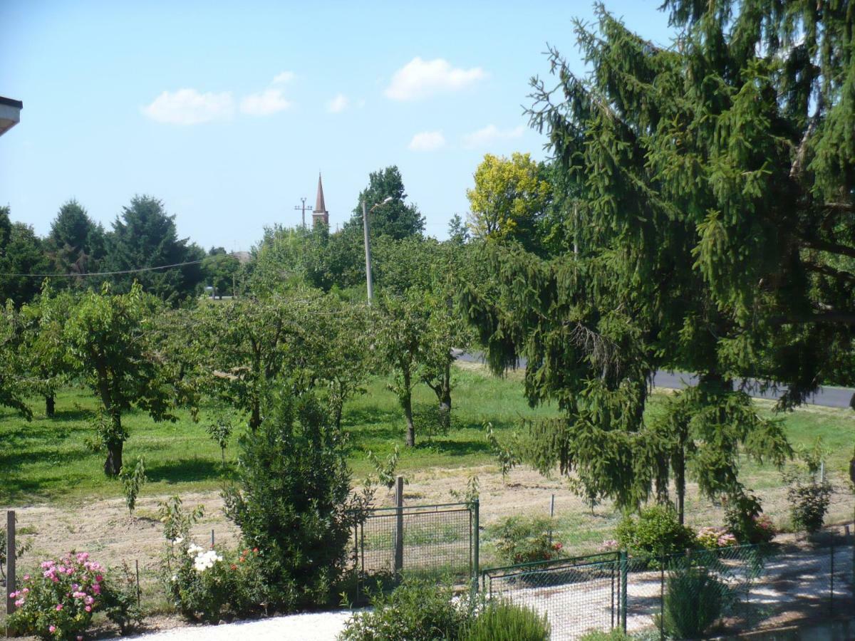 L'Albero Della Gioia Bed and Breakfast Villanova sull'Arda Exterior foto
