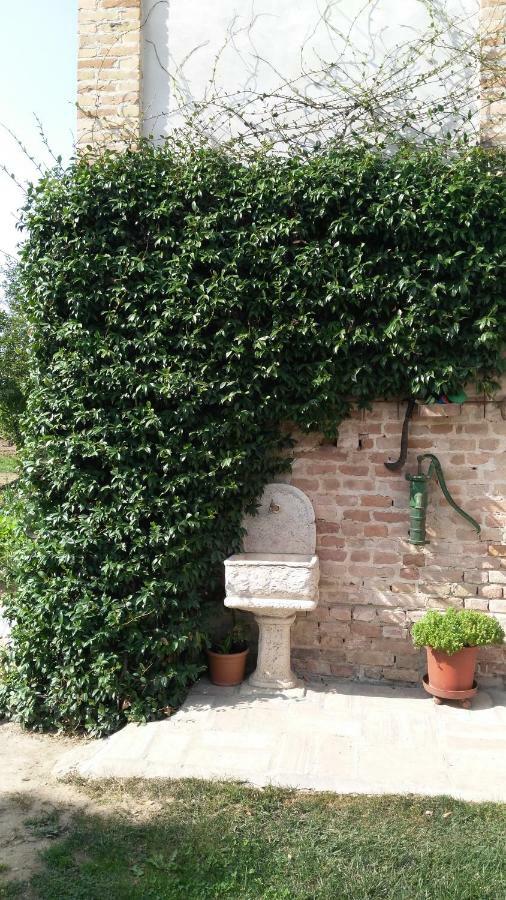 L'Albero Della Gioia Bed and Breakfast Villanova sull'Arda Exterior foto